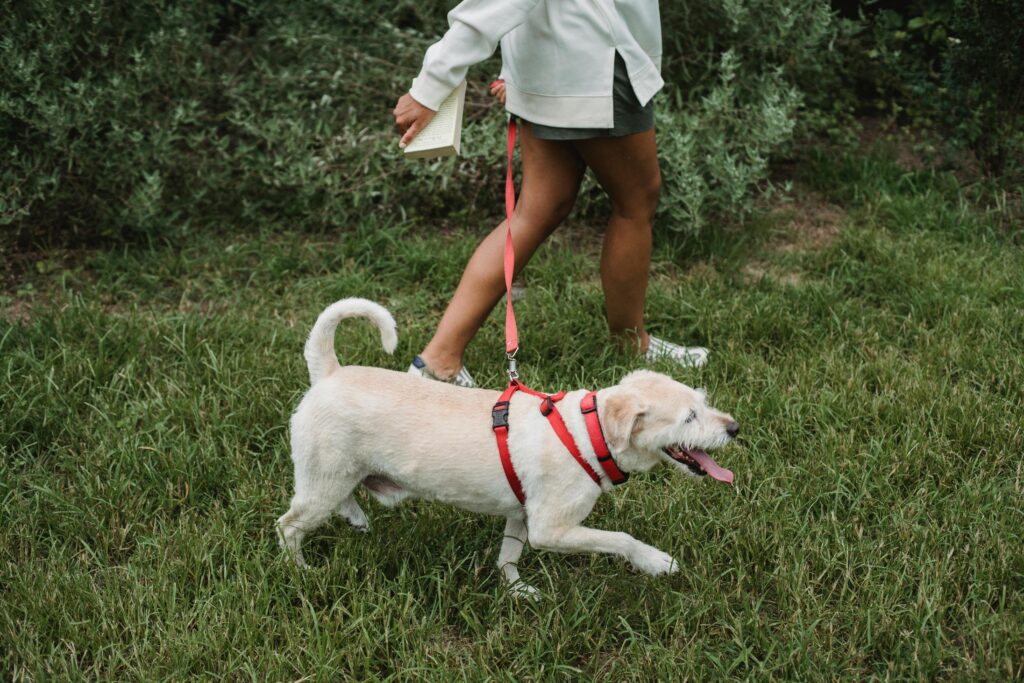 Walking outdoors in nature to reduce stress naturally
